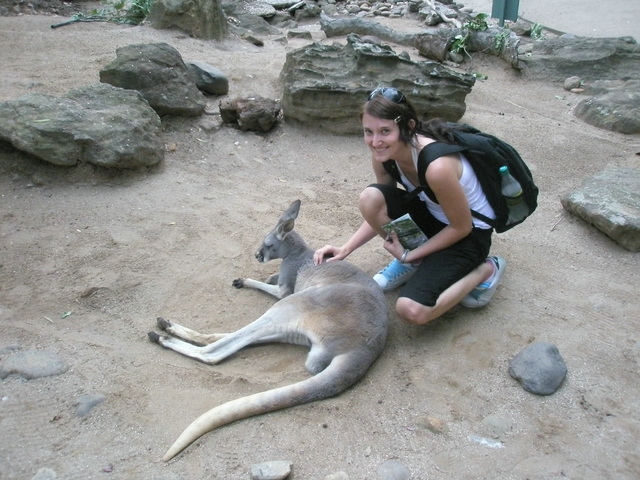 Wallabie so Sisou.JPG