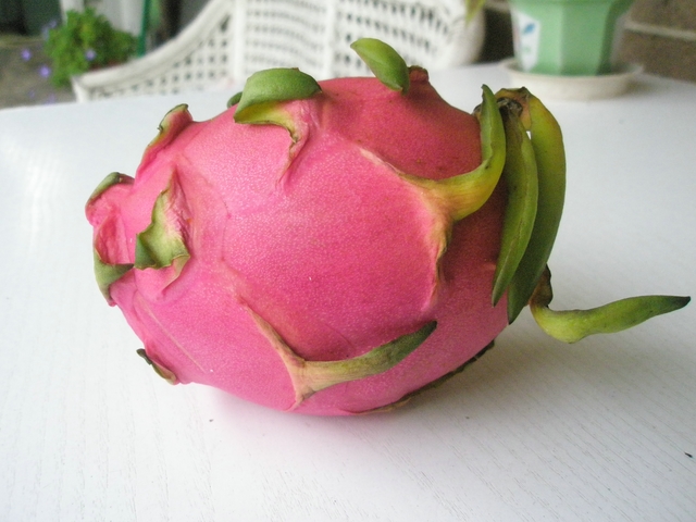 Dragon Fruit [Dracie vajce].JPG